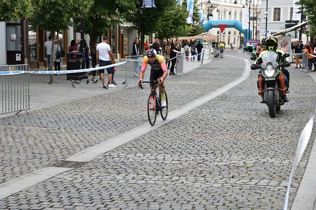 引入多元化 引入多元化