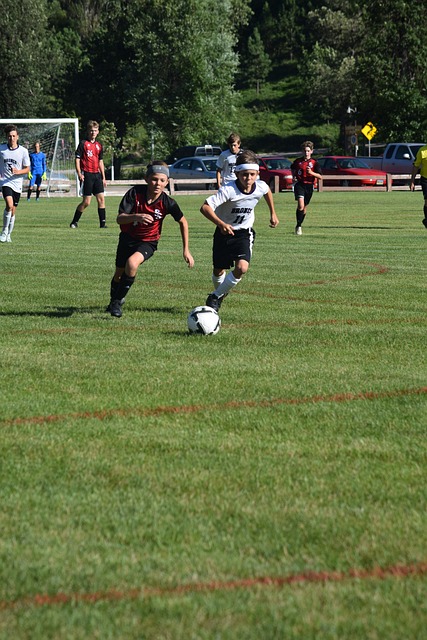 无论哪一种 无论哪一种