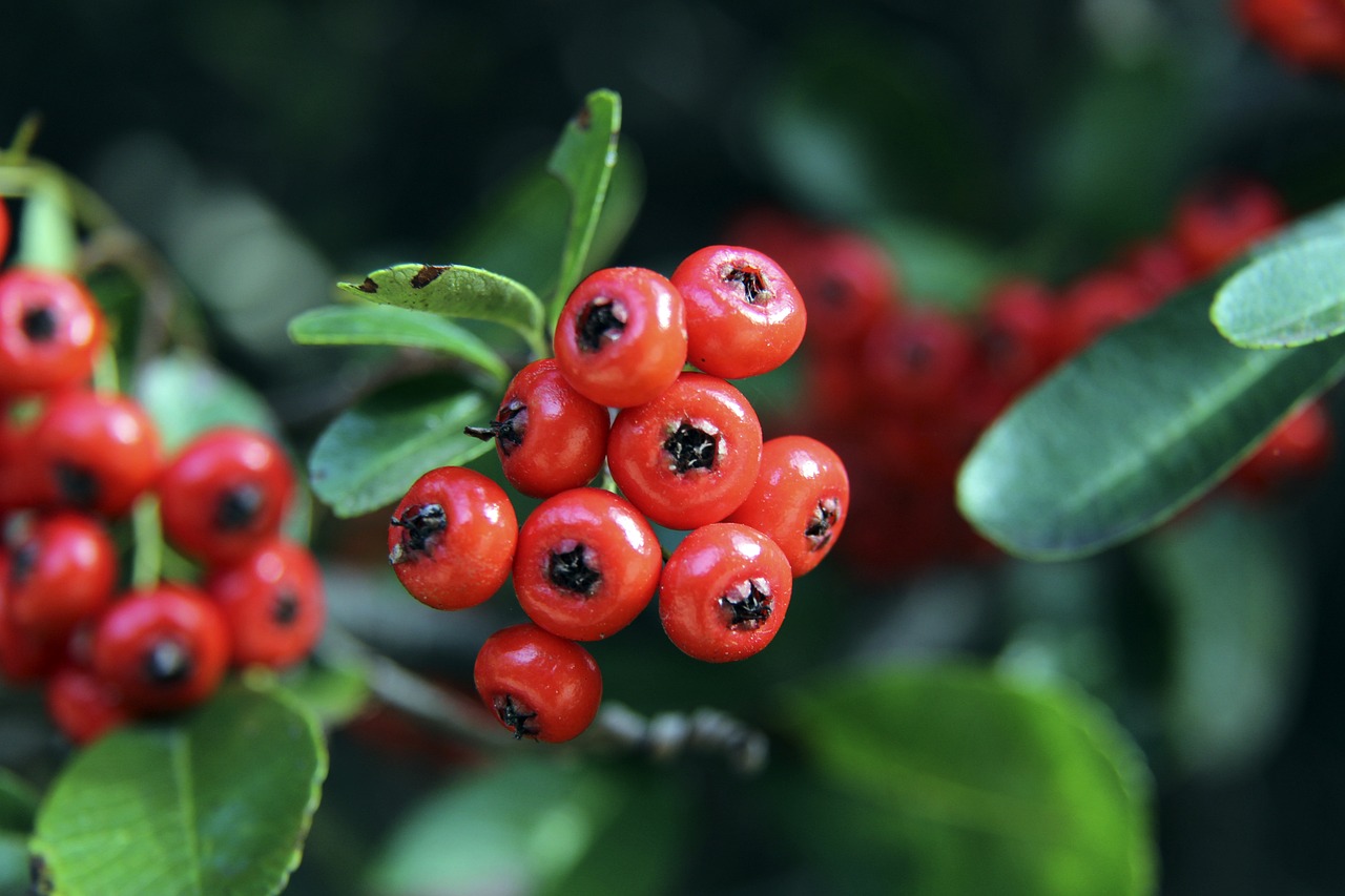 與當前西部 與當前西部