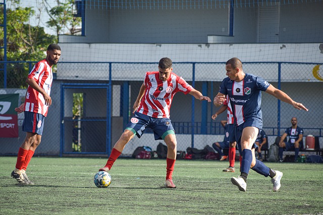 在他的职业 在他的职业