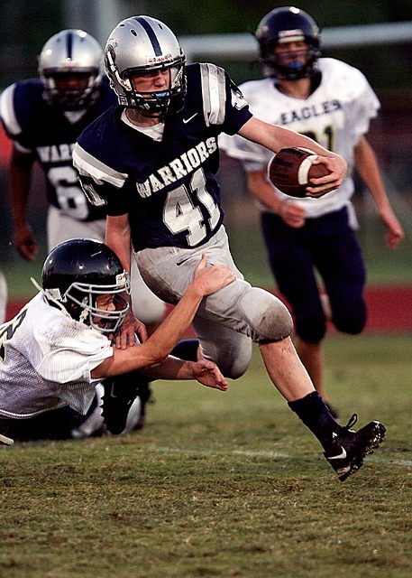 观众席上的 观众席上的